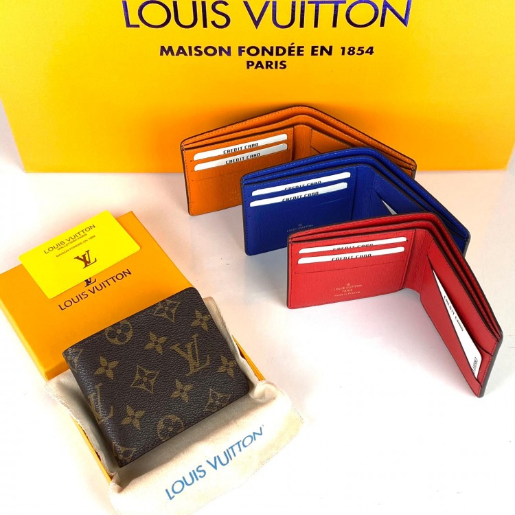 LOUİS VUİTTON MULTİPLE MULTİ COLER 